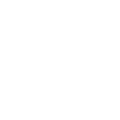 White rocket icon