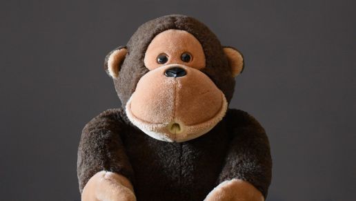 Herbie Bio Picture