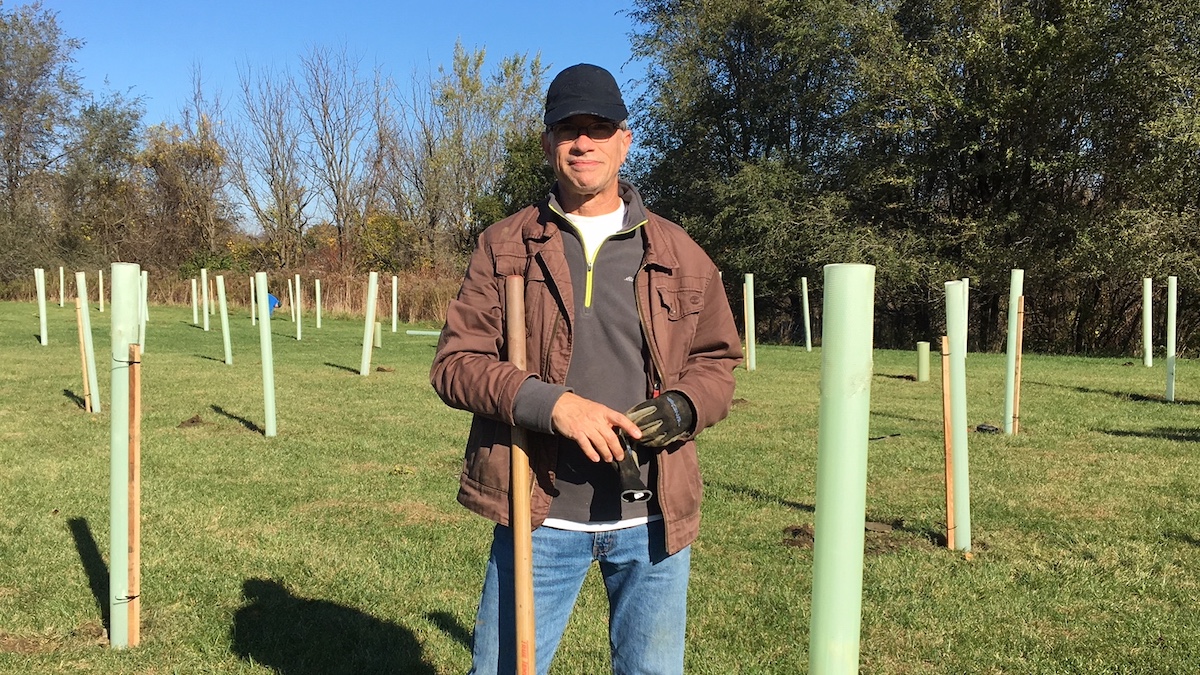 Doug Hershey standing in a field of tree tubes