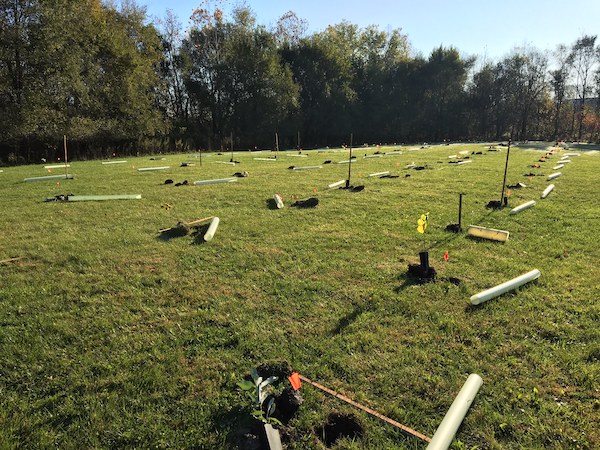 Field prepped for adding tree tubes